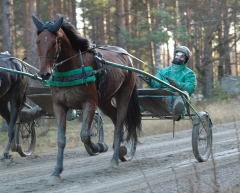 Ugly Duckling 151110-11